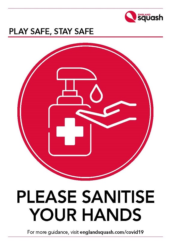 Please sanitise your hands poster